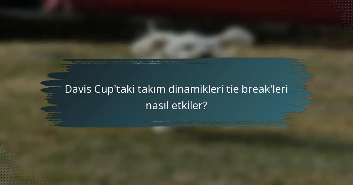 Davis Cup'taki takım dinamikleri tie break'leri nasıl etkiler?